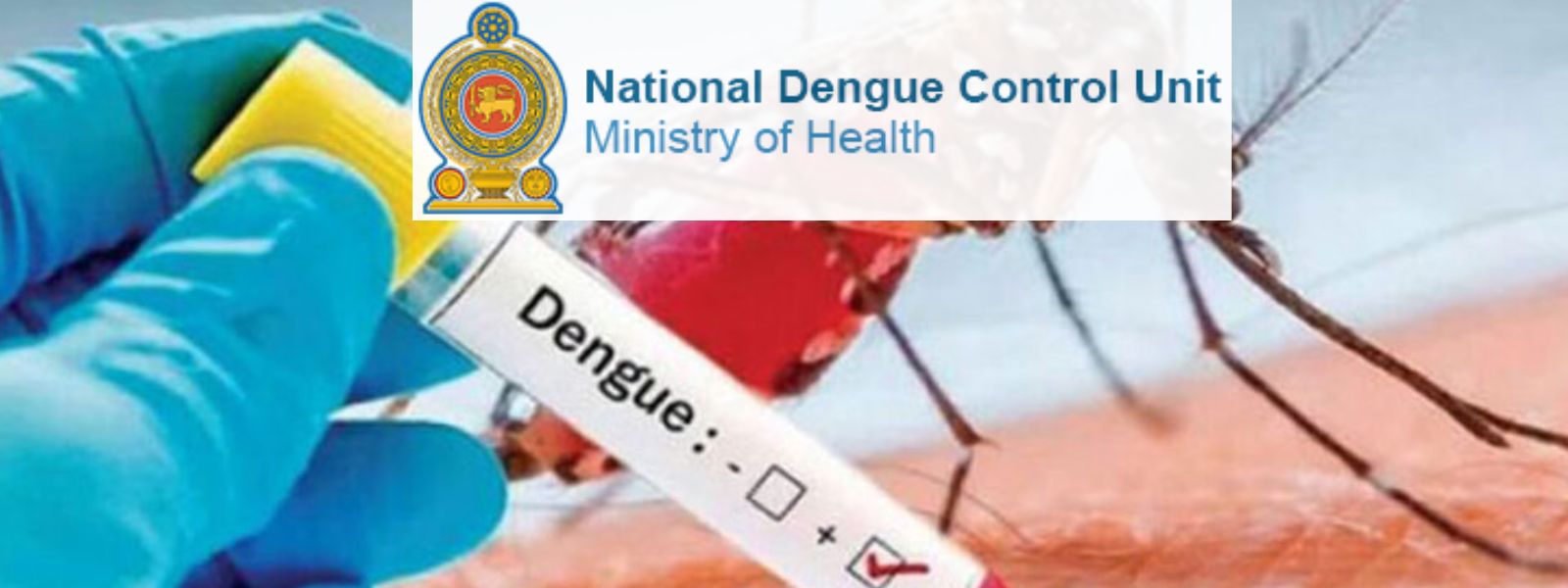 Rains Trigger Surge in Dengue Cases